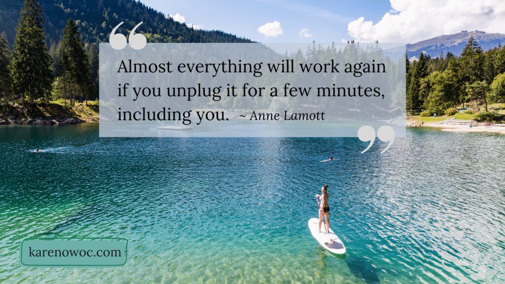 Almost everything will work again if you unplug it for a few minutes, including you. - Anne Lamott